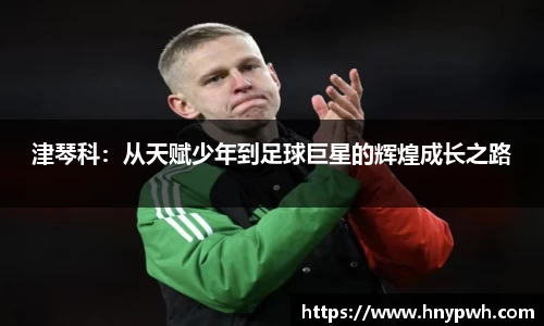 易倍emc体育APP
